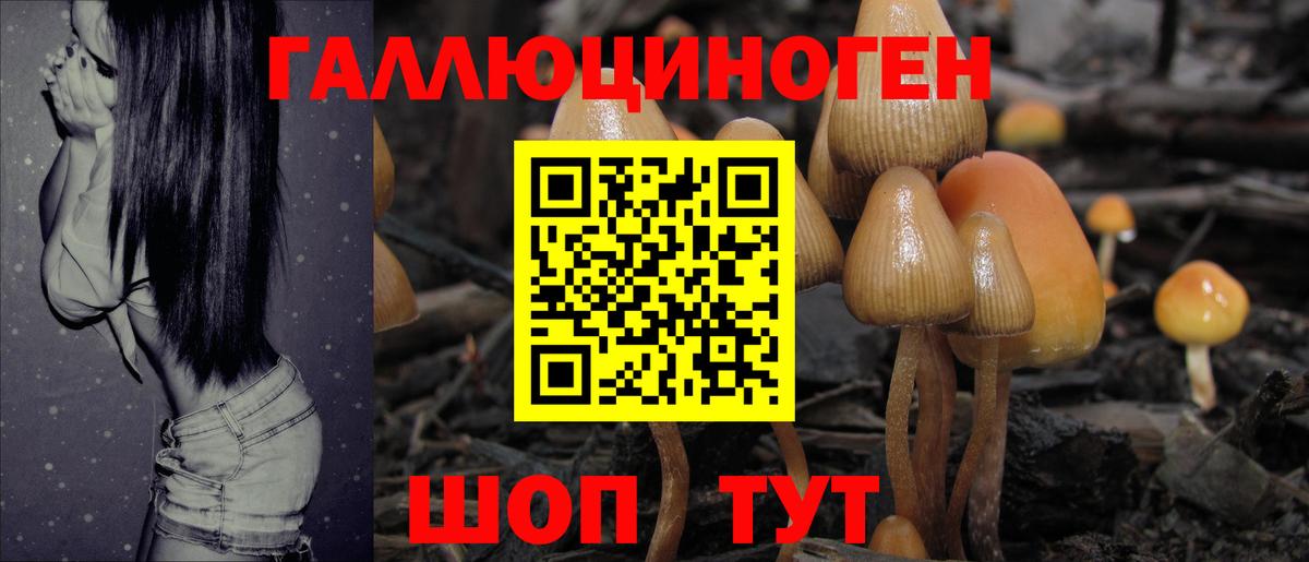 Канабис  Вход с VPN  Лсд 25  НБОМе  ГАШ  Гашиш  Меф МЯУ МЯУ   Нижний Тагил  APVP СК   COCAIN 