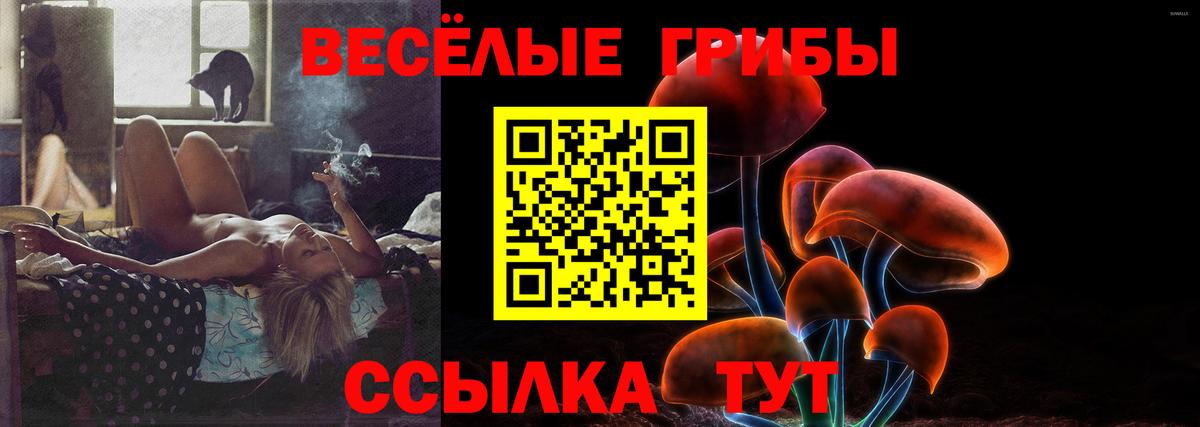 Псилоцибиновые грибы GOLDEN TEACHER Нижний Тагил