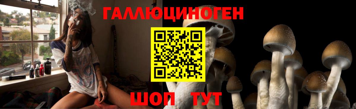 Галлюциногенные грибы прущие грибы  Псилоцибиновые грибы Psilocybe  Вход с VPN  Нижний Тагил 