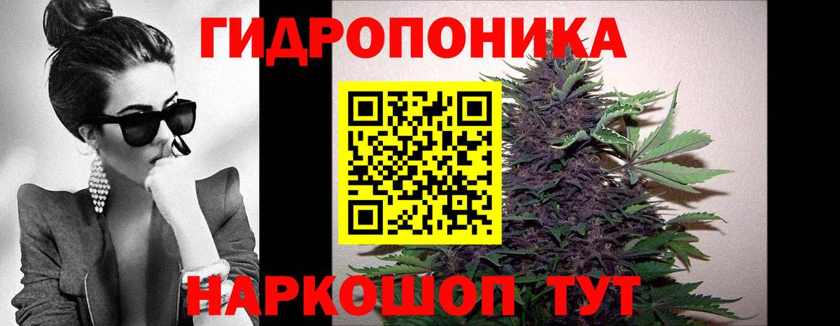 Бошки марихуана планчик Нижний Тагил